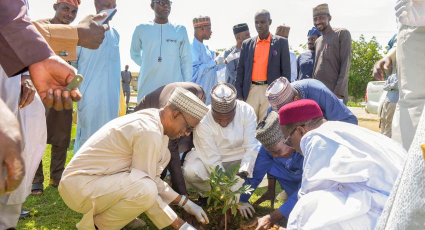 Tree Planting Campaign